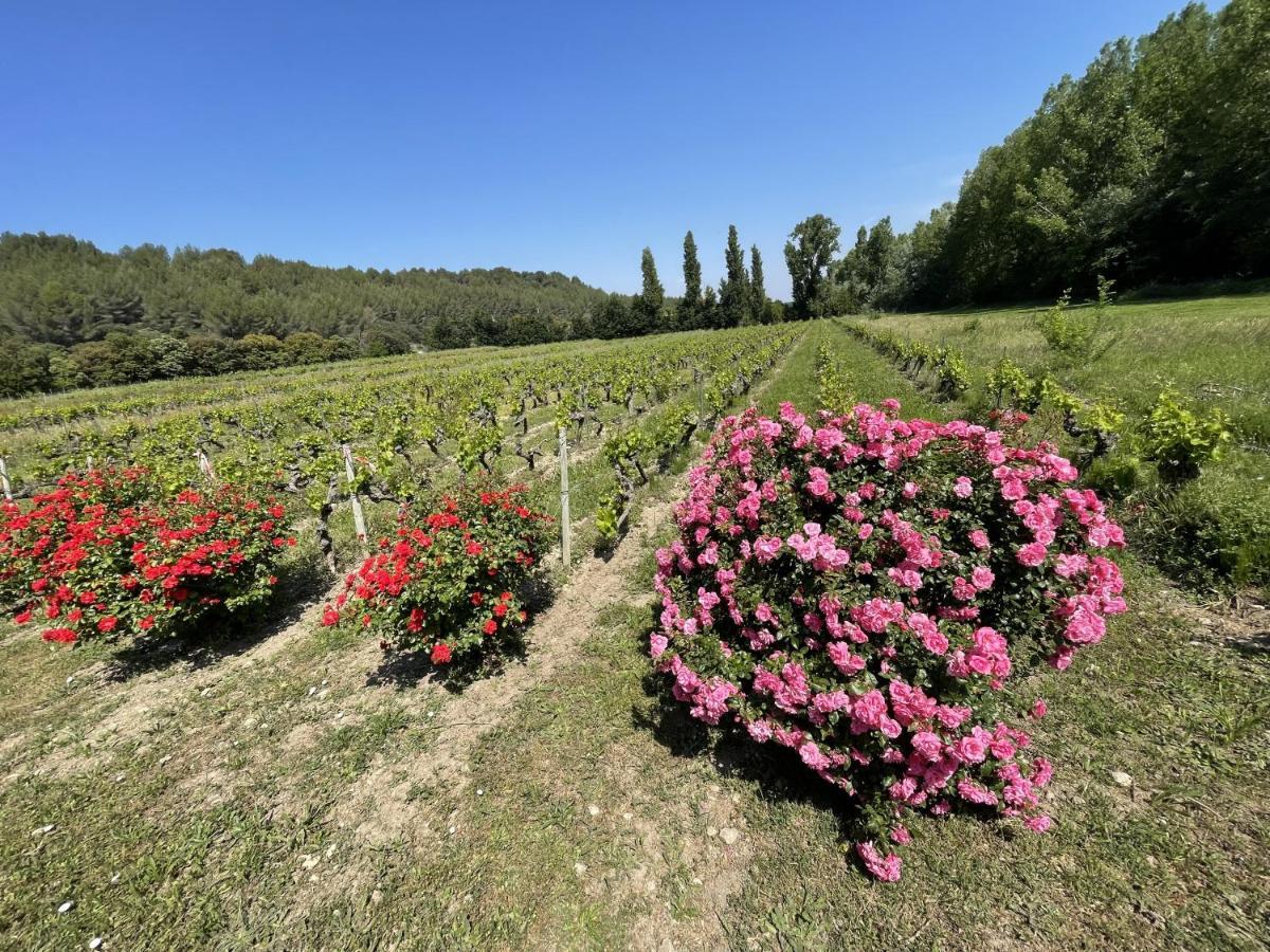 Chateau Talaud Loriol-du-Comtat ภายนอก รูปภาพ