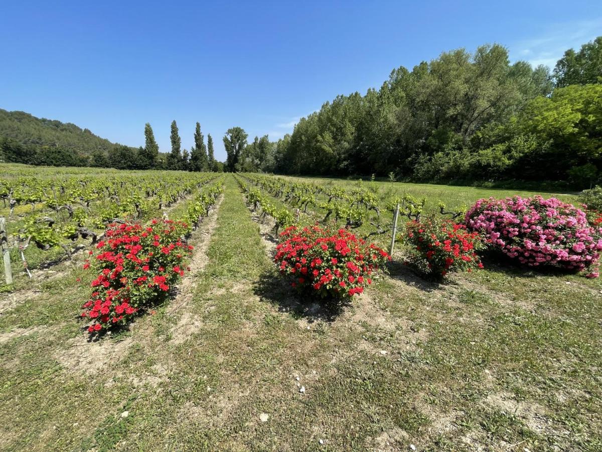 Chateau Talaud Loriol-du-Comtat ภายนอก รูปภาพ